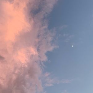 Meet your Posher, Tae